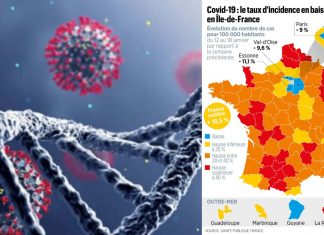 France Reports 400,851 New COVID-19 Cases And 233 Deaths In Last 24 Hours – Omicron BA.1, BA.2, B.1.640 or B.1.640.2?