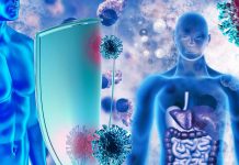 The human immune system includes a billion-year-old family of proteins used by bacteria to defend themselves against viruses