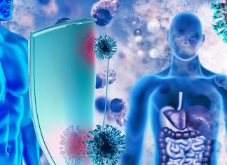 The human immune system includes a billion-year-old family of proteins used by bacteria to defend themselves against viruses