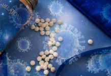 Melatonin Based Drugs Inhibit SARS-Cov-2 Entry Into The Brain And Prevent Damage Of Cerebral Vessels