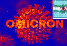 Omicron: Autophagy and evasion of immune system by SARS-CoV-2