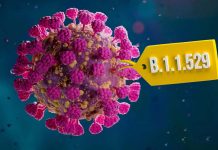 The Omicron Has Higher Environmental Stability Compared To All Other SARS-CoV-2 Variants