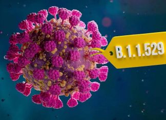 The Omicron Has Higher Environmental Stability Compared To All Other SARS-CoV-2 Variants
