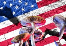 Home mental health treatments: Americans are betting on psychedelic medicine