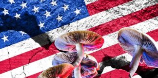 Home mental health treatments: Americans are betting on psychedelic medicine