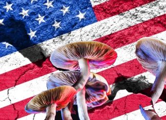 Home mental health treatments: Americans are betting on psychedelic medicine