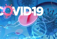 COVID-19: Elevated levels of autoantibodies against the testicular tissue specific protein SPANXN4 offer significant evidence of male reproductive complications