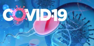 COVID-19: Elevated levels of autoantibodies against the testicular tissue specific protein SPANXN4 offer significant evidence of male reproductive complications