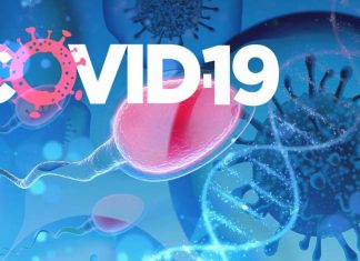 COVID-19: Elevated levels of autoantibodies against the testicular tissue specific protein SPANXN4 offer significant evidence of male reproductive complications