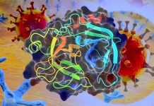 Enzyme Trypsin Facilitates SARS-CoV-2 Entry At The Cell Surface