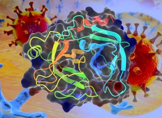Enzyme Trypsin Facilitates SARS-CoV-2 Entry At The Cell Surface