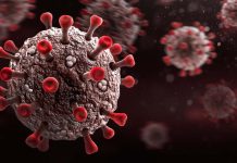 Low Density Lipoprotein Receptor-Related Protein 1 (LRP1) is a host factor for SARS-CoV-2