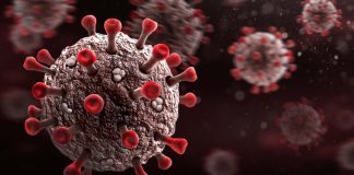 Low Density Lipoprotein Receptor-Related Protein 1 (LRP1) is a host factor for SARS-CoV-2