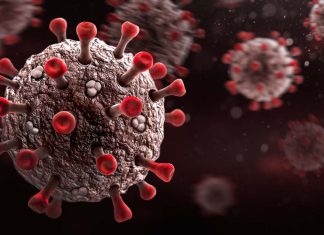 Low Density Lipoprotein Receptor-Related Protein 1 (LRP1) is a host factor for SARS-CoV-2