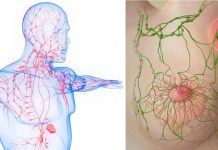 La linfoadenopatia post vaccinazione COVID-19 – con aumento dell’assorbimento di FDG – può essere erroneamente attribuita a disturbi oncologici