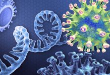 SARS-CoV-2 ORF8 Protein Is The Key Factor That Is Causing COVID-19 Disease Severity