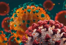 SARS-CoV-2 infection triggers paracrine senescence – the inflammatory response persists even after the virus has disappeared