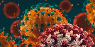 SARS-CoV-2 infection triggers paracrine senescence – the inflammatory response persists even after the virus has disappeared