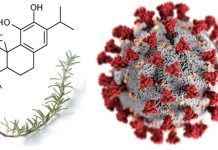 Therapeutic Use of the Rosemary Diterpene Carnosic Acid for Long-COVID