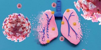 Autoantibodies Neutralizing Type I Interferons Found Responsible For 20 Percent Of All COVID-19 Deaths