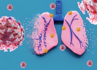 Autoantibodies Neutralizing Type I Interferons Found Responsible For 20 Percent Of All COVID-19 Deaths