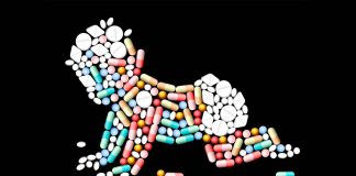 Treating babies with antibiotics in the first week of life decrease healthy bacteria to digest milk and increase antimicrobial resistance