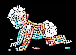 Treating babies with antibiotics in the first week of life decrease healthy bacteria to digest milk and increase antimicrobial resistance