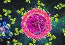 B resident memory cells in the lungs bear the blueprint to fight the flu and possibly other viral infections