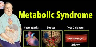 The new compound SN-401 can treat metabolic syndromes