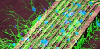 Scientists have developed a new technique that uses microscopic magnetic particles to remotely activate brain cells