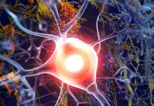 NP001 drug can slow or temporarily stall the progression of ALS