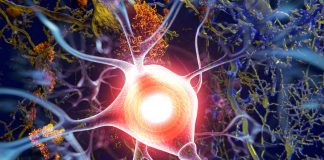 NP001 drug can slow or temporarily stall the progression of ALS