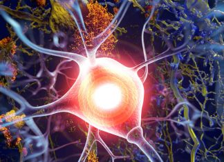 NP001 drug can slow or temporarily stall the progression of ALS