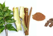 Phytochemicals Nimbin And Epinimbin From Bark Of Neem Tree are able to inhibit the SARS-CoV-2