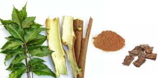 Phytochemicals Nimbin And Epinimbin From Bark Of Neem Tree are able to inhibit the SARS-CoV-2