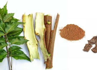 Phytochemicals Nimbin And Epinimbin From Bark Of Neem Tree are able to inhibit the SARS-CoV-2