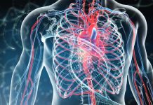 CTR1 is a therapeutic target when more blood vessels are needed