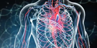 CTR1 is a therapeutic target when more blood vessels are needed