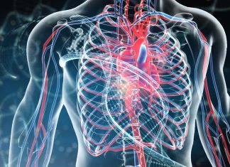 CTR1 is a therapeutic target when more blood vessels are needed