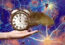 Disrupted circadian clock leads to an increased risk of retinal degeneration as we age