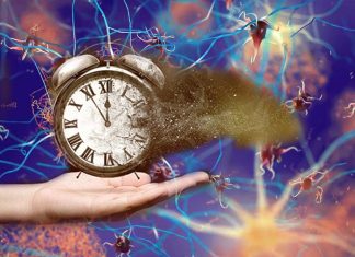 Disrupted circadian clock leads to an increased risk of retinal degeneration as we age