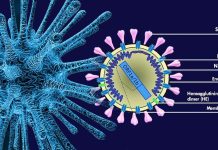 The Envelope Protein Of SARS-Cov-2 Potently Inhibits HIV-1 Infection
