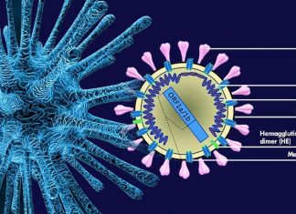The Envelope Protein Of SARS-Cov-2 Potently Inhibits HIV-1 Infection