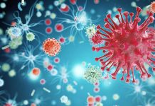 HIV remains in human tissue even after antiretroviral therapy