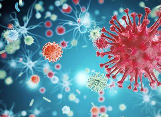 HIV remains in human tissue even after antiretroviral therapy