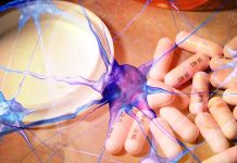 Lithium could decrease the risk of developing dementia