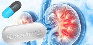 Paracetamol may help protect against kidney damage in patients with malaria