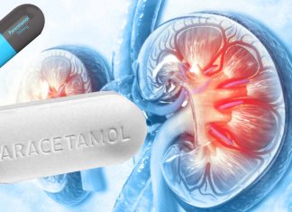 Paracetamol may help protect against kidney damage in patients with malaria