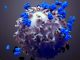 The body’s T cells provide long-lasting memory against the virus following vaccination or infection from COVID-19