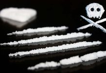 Steroid hormones can modulate cocaine cravings